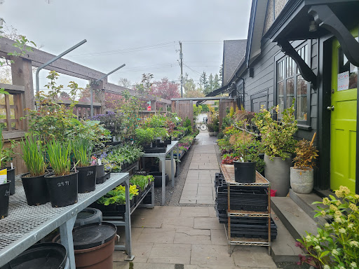 Photo of Demitasse Cafe & Garden Centre - 2164 McNeill Ave, Victoria, BC V8S 4N7